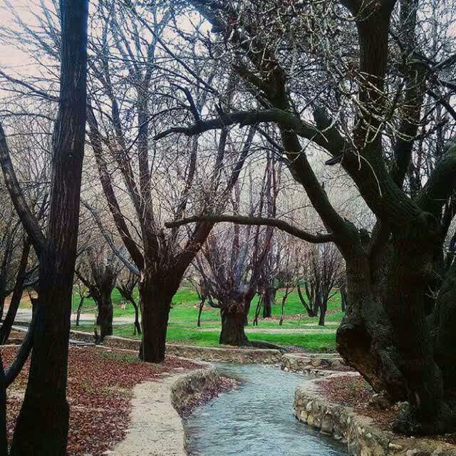 هرس درختان شهر سده همزمان با بهار قرآن و طبیعت